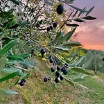 Vesper - Casale Con Piscina - Ad Galli Cantum Città della Pieve