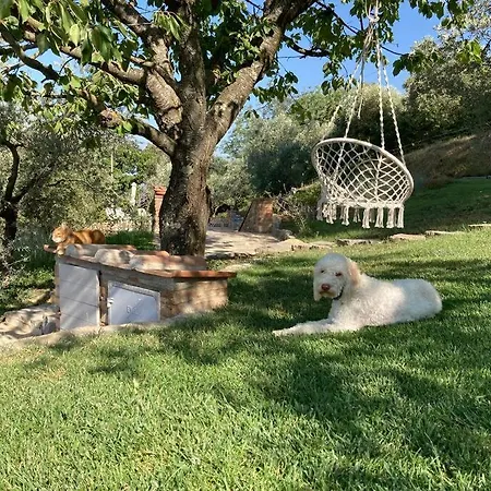 Vesper - Casale Con Piscina - Ad Galli Cantum