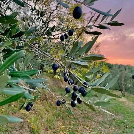 Vesper - Casale Con Piscina - Ad Galli Cantum Città della Pieve